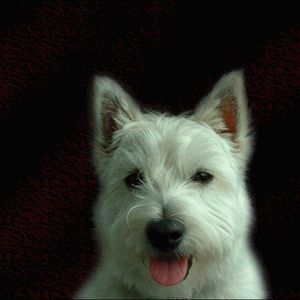 Reasonable offers accepted!